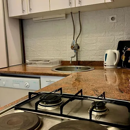 Apartment Zilbeari Center *